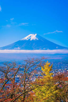 Mount Fuji
